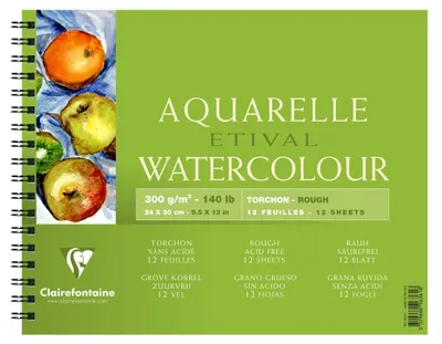 Immagine prodotto di Clairefontaine Aquablo. Rauh ETI 250g 24x30 12Bl
