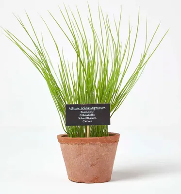 Obrázek produktu pro HOMESCAPES Umělá pažitka v květináči