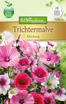 Artikelbild 1 von 'Trichtermalve Mischung' aus der Kategorie Malvensamen