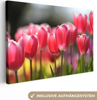 Produktbild von OneMillionCanvasses® - Leinwandbilder - 140x90 cm, Rosa Tulpenblüten, Wandbilder Kunstdruck Wanddekoration - Foto auf Leinwand - Gemälde auf Holzrahmen