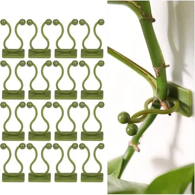 Produktbild von 100 Kletterpflanzen-Stützclips, selbstklebende Pflanzenclips, Wandbefestigungsclips für Kletterpflanzen