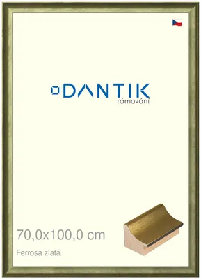 Obrázok produktu pre Rám DANTIK 70x100 | Ferrosa gold (Plexi Clear)