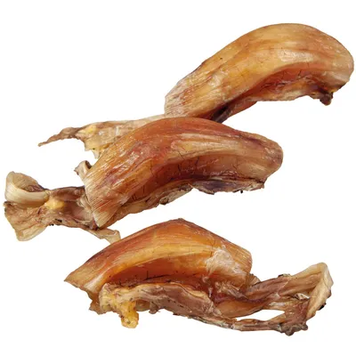 Produktbild von 500 g - Schecker Hundesnack - dicke Straußensehnen (Kniesehnen)