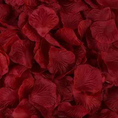 Produktbild von 100 Rosenblätter, Rot - Bordeaux
