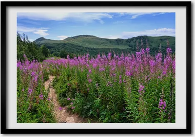 Produktbild von Bild - Bilderrahmen - 100 cm x 70 cm - MDF - Rahmen - Foto - Wandkunst Grüne Hügel