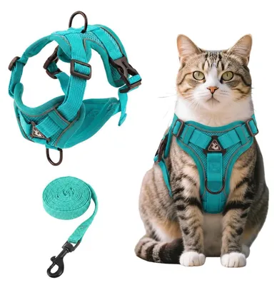 Immagine prodotto di Collare per gatti con guinzaglio, antiscappamento, regolabile, blu, taglia M