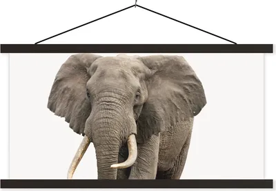 Produktbild von MuchoWow® Textilposter Elefant - Kinder - Tiere - Mädchen 90x45 cm mit schwarzem Rahmen - Klemmleisten