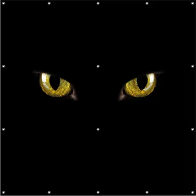 Produktbild von Wallario Outdoor-Poster für Garten oder Balkon, Motiv Gelbe Katzenaugen bei Nacht, in ca. 180 x 180 cm