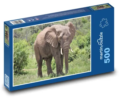 Obrázok produktu pre Puzzle 500 Slon na safari - martinpuzzle