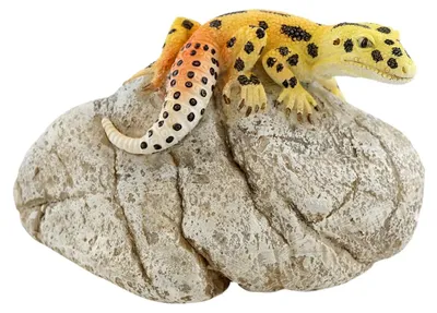 Leopardgecko auf Fels Statue, 6,3 x 9,5 cm, Harz, handbemalt