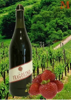 Produktbild von Contri Fragolino rosso Terre del Sole Perlwein 750 ml.