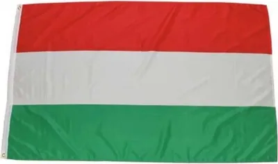 Produktbild von MFH Fahne 90 x 150 cm  - Ungarn - rot/weiß/grün