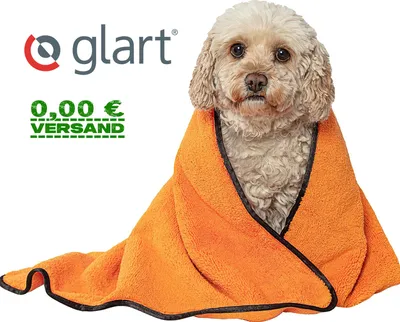 Produktbild von Glart T44WG Mikrofaser Hundetuch: 90x60 cm, super saugfähig, fellfreundlich