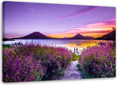 Produktbild von Leinwandbild veilchenparadies 100x70 cm Feeby lila wandbild bereit zum aufhängen