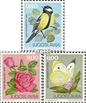 Produktbild von Briefmarken Jugoslawien 1974 Mi 1559-1561 (kompl.Ausg.) postfrisch Tag der Jugend