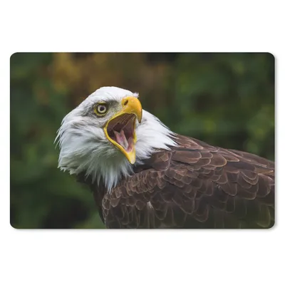 Produktbild von MuchoWow® Schreibtischunterlage Ein krächzender Weißkopfseeadler 60x40 cm - XXL Mauspad - Großes Mauspad
