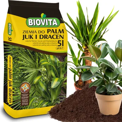 Blumenerde Für Zimmerpflanzen 30 L – Mit Dünger & Wurzelaktivator