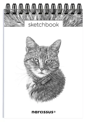 Produktbild von Skizzenbuch im Format A6, Motiv Katze, 60 Seiten, 120 g/m², Spiralbindung