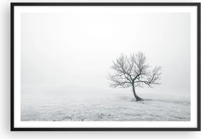Produktbild von Gerahmtes Poster - Schwarzer Rahmen - Baum Feld Natur - 91,5x61 cm - Wand Bild - Wanddeko - Wandbilder - Kunstposter - Wandposter - Bilderrahmen - Bilder - Kunstdruck - Wandbild - P2BAA91x61-3683