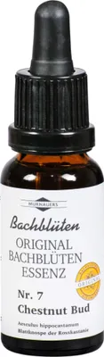 Produktbild von Bachblüten Murnauer Chestnut Bud Tropfen, 20 ml TRO