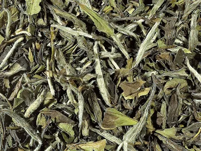 Produktbild von 1 kg - - Weißer Tee China k.b.A. Pai Mu Tan DE-ÖKO-006