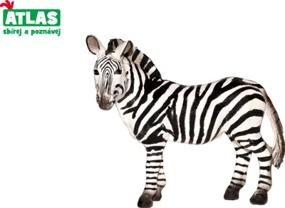 Obrázek produktu pro D - Figurka Zebra 10 cm