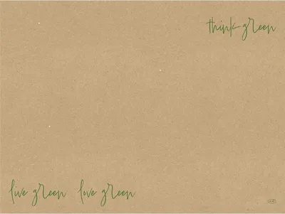 Produktbild von 1000x DUNI Papier-Tischset 30 x 40 cm Love Green Natural