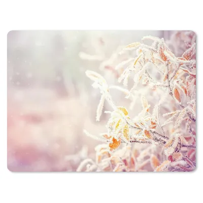 Produktbild von MuchoWow® Mauspad Mousepad Winter - Äste - Schnee - Natur 40x30 cm - Mousepads - Maus Mat - Pad - Mausunterlage - Anti Rutsch