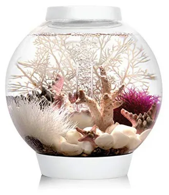 Produktbild von biOrb 72001 CLASSIC 15 LED, 15 L, weiß - Acryl-Aquarium in Kugelform, Komplett-S