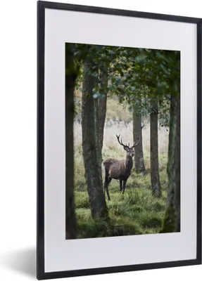 Produktbild von MuchoWow® Gerahmtes Poster Hirsche - Bäume - Gras 40x60 cm - Poster mit Schwarzem Bilderrahmen Wandposter Rahmen Foto Bilder - Poster in Rahmen