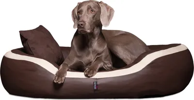 Productafbeelding van tierlando® PEPPER Orthopedisch hondenbed, hondenbank, kunstleer - Maat: 160x130cm | Kleur: 01 Bruin