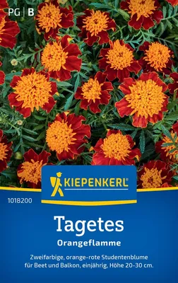 Produktbild von Kiepenkerl Tagetessamen Orangeflamme Tagetes patula 50 Pflanzen