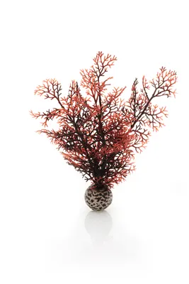 Obrázek produktu pro biOrb Sea fan S crimson
