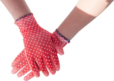 Image de Gants de jardinage BUNTE taille 6