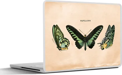 Produktbild von MuchoWow® Laptop Aufkleber Sticker Cover Schmetterling - Tier - Insekt 32.5x23.5 cm - Sticker für Laptop - Selbstklebend