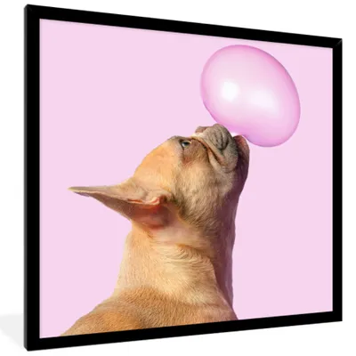Produktbild von MuchoWow® Gerahmtes Poster Hund - Tiere - Kaugummi - Rosa 40x40 cm - Poster mit Schwarzem Bilderrahmen Wandposter Rahmen Foto Bilder - Mit Rahmen - Wanddekoration Schlafzimmer