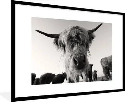 Produktbild von MuchoWow® Gerahmtes Poster Schottischer Highlander - Schwarz - Weiß - Tiere 90x60 cm - Poster mit Schwarzem Bilderrahmen Wandposter Rahmen Foto Bilder - Wanddekoration - Fotos