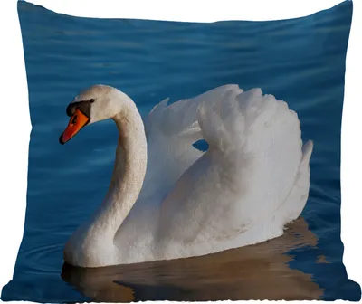 Produktbild von MuchoWow® Outdoor Kissen - Schwan - Wasser - Vogel - Weiß - 40x40 cm - Wetterfest - Lounge Kissen - Kopfkissen - Interieur - Polster mit Bild