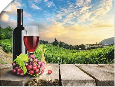 Produktbild von ARTland Poster Wein vor Weinbergen Größe: 60x45 cm