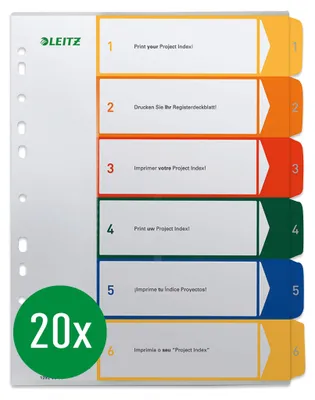 Image de Intercalaires A4+ PP 1-6 gris, lot de 20 pièces
