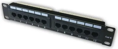 Obrázek produktu pro Datacom 10" CAT6 12 portů