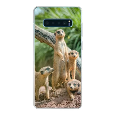 Produktbild von MuchoWow® Handyhülle Schutzhülle Hülle für Samsung Galaxy S10 Plus Familie - Tiere - Erdmännchen Silikon Softcase Handy Hülle - Schutzhülle