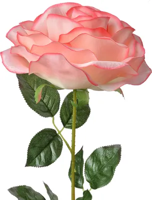 Image de Clayre & Eef Fleur artificielle Rose 75 cm Rose Plastique