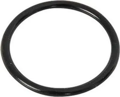 A black O-ring seal on a white background.