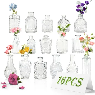 Image de LARS360 16 pièces Petits vases de bar en verre, mini set de vases déco de table Transparent - Vases à fleurs & vases à bourgeons, légèrement polyvalents avec un look moderne