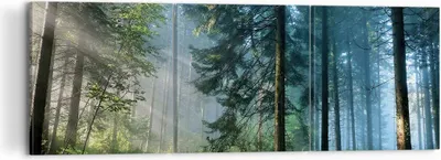 Produktbild von Bild auf Leinwand - Leinwandbild - 3 Teile - Wald Dämmerung die Sonne - 120x40cm - Wand Bild - Wanddeko - Wandbilder - Leinwanddruck - Bilder - Wanddekoration - Leinwand bilder - CA120x40-4398