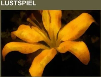 Produktbild von Lustspiel