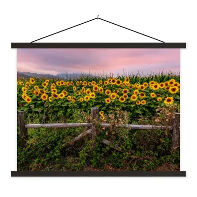 Produktbild von MuchoWow® Textilposter Sonnenblume - Blumen - Pflanzen 150x113 cm mit holzfarbenen Rahmen - Poster