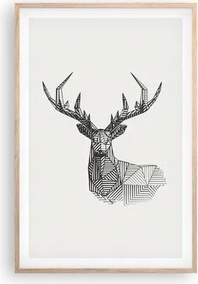 Produktbild von Gerahmtes Poster - Rahmen in heller Eiche - Hirsch Skizze Skandinavisch - 61x91,5 cm - Wand Bild - Wanddeko - Wandbilder - Kunstposter - Wandposter - Bilderrahmen - Bilder - Kunstdruck P2NPA61x91-4950