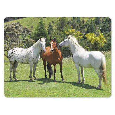 Produktbild von MuchoWow® Mauspad Mousepad Pferde - Baum - Schatten 40x30 cm - Mousepads - Maus Mat - Pad - Mausunterlage - Anti Rutsch